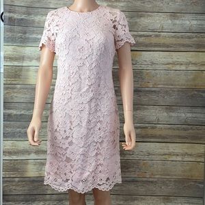 Lauren Ralph Lauren Powder Pink Dress NWT